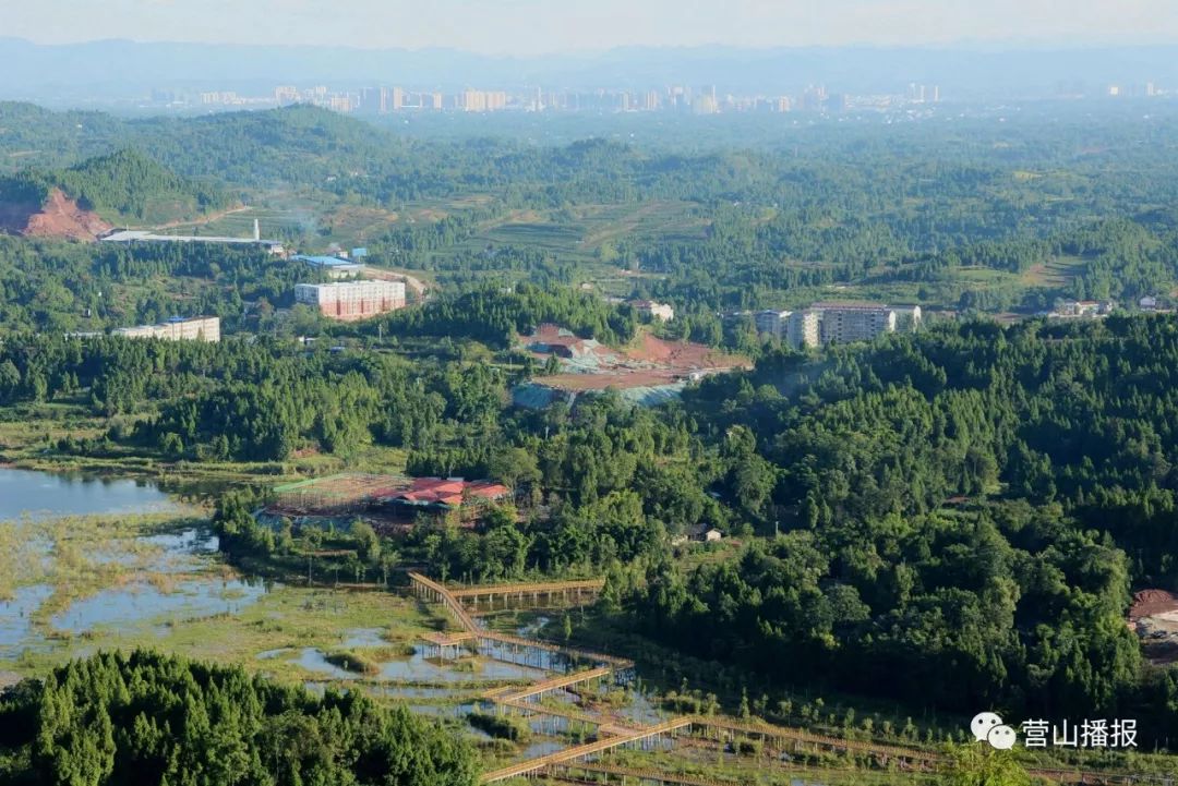 四川省营山县最新新闻(营山快讯：四川营山新鲜资讯)