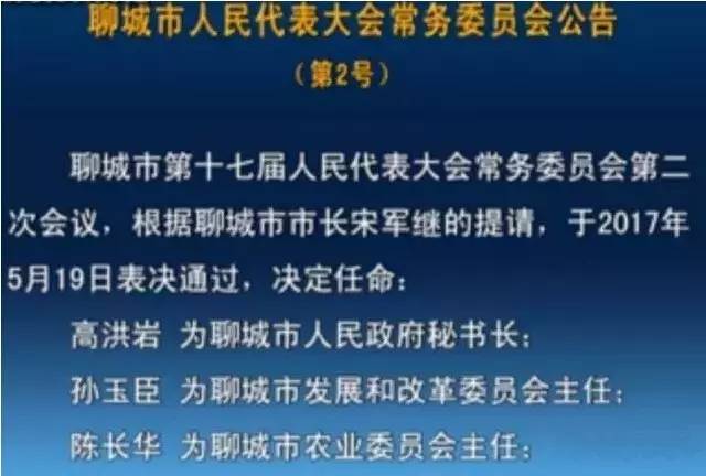 杭州市最新任命，杭州官方最新人事任命揭晓