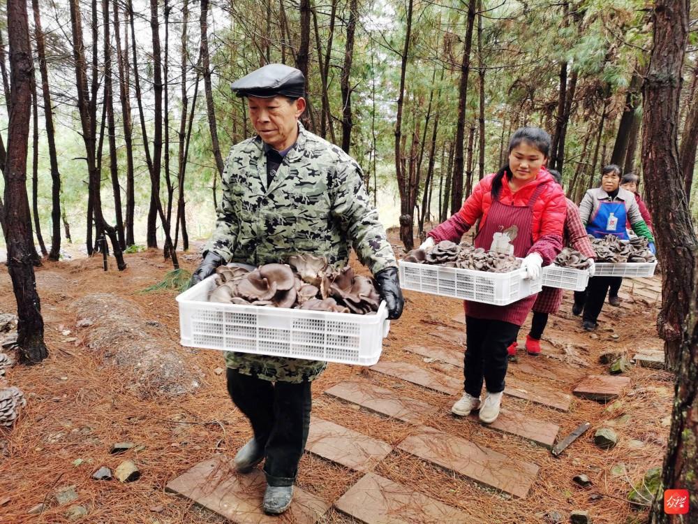 “林海新区美好蓝图全新揭晓”