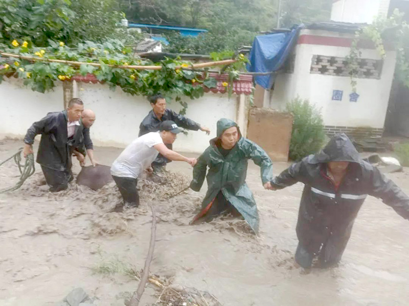 陇南暴雨过后，众志成城，共建美好家园新篇章