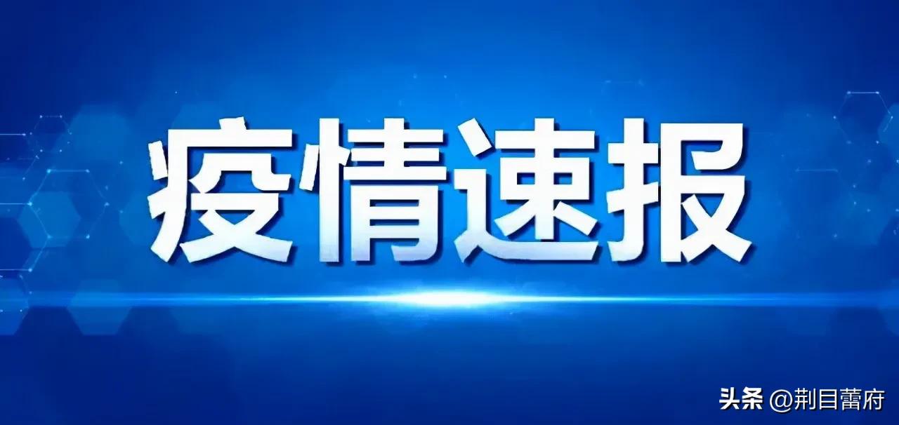 河南战疫捷报频传，最新动态温馨播报