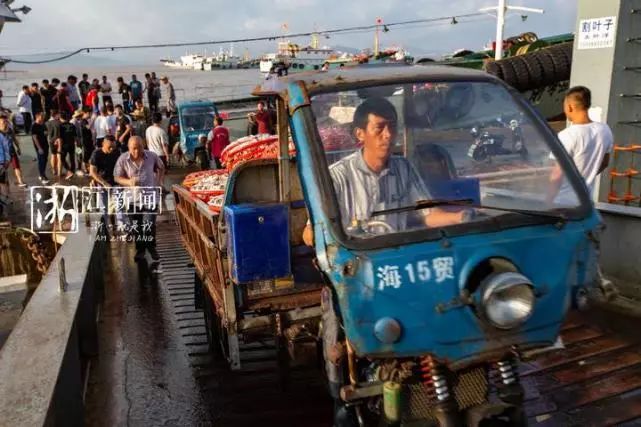 最新梭子蟹市场价格动态