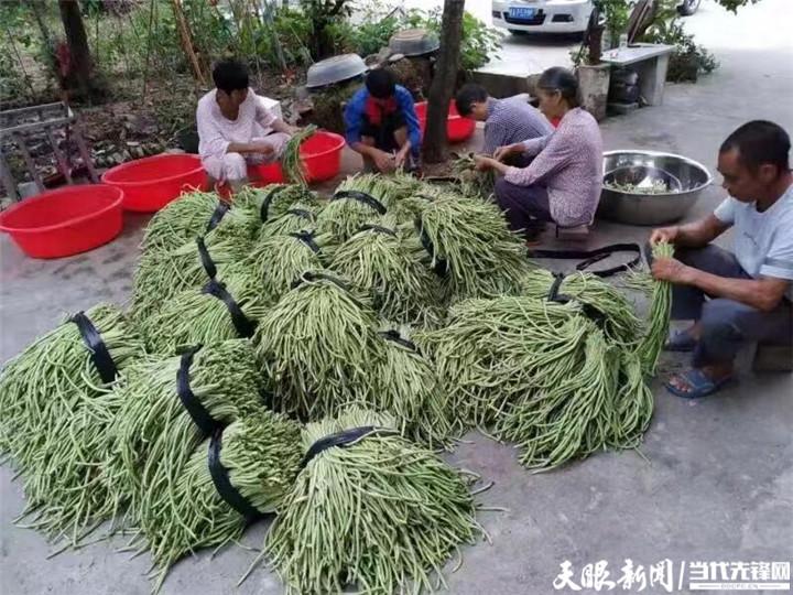 铜仁地区事业单位招聘信息速递：最新职位汇总来袭！