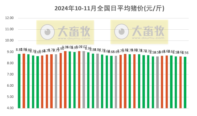 最新出炉！全国生猪今日行情一览，实时报价动态更新